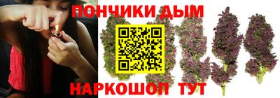 индика Гудермес